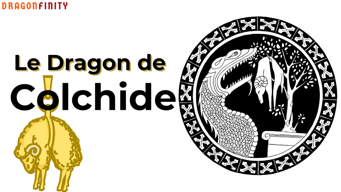 Le Dragon de Colchide : au Coeur de la Mythologie