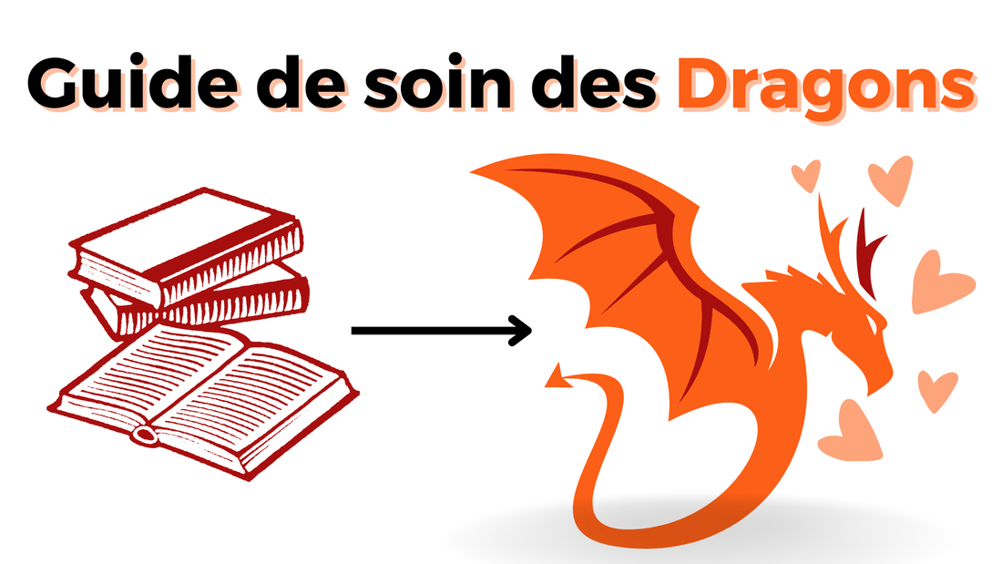Guide complet du soin des dragons : tout ce que vous devez savoir - DragonFinity