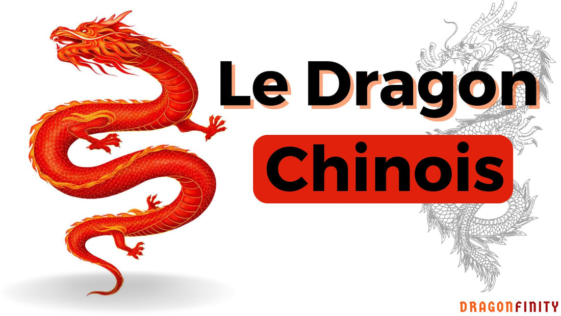 Le Dragon Chinois - DragonFinity
