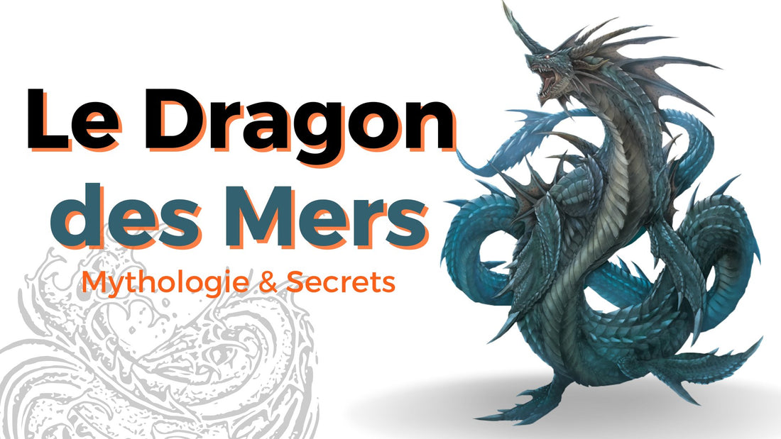 Le Dragon des Mers - DragonFinity