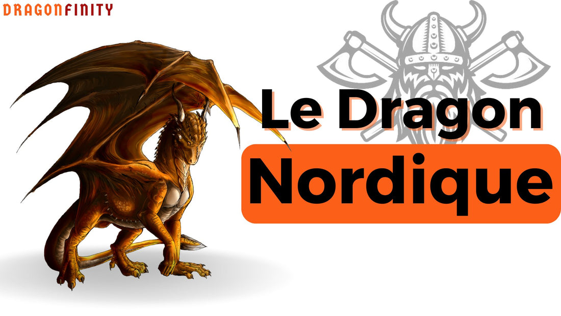 Le Dragon Nordique - DragonFinity