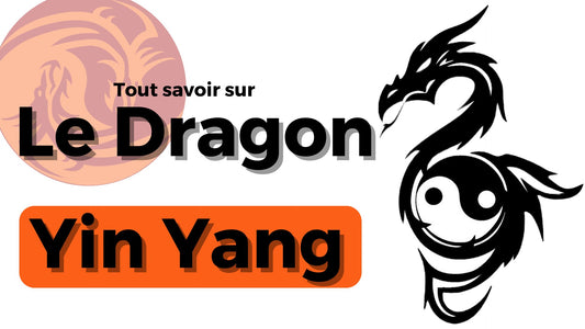 Le Dragon Yin Yang - DragonFinity