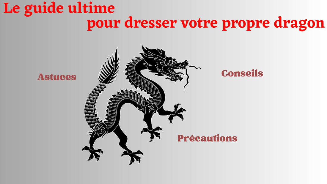 Le guide ultime pour dresser votre propre dragon : conseils, astuces et précautions - DragonFinity