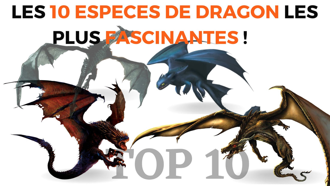 Les 10 Espèces de Dragon les plus Fascinantes ! - DragonFinity