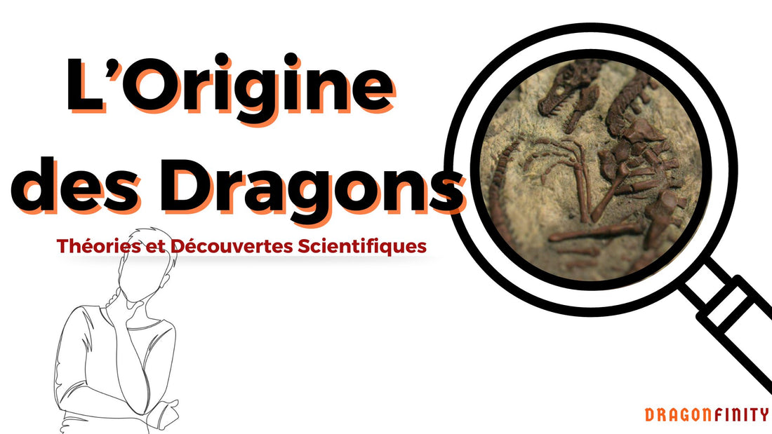 L'Origine des Dragons : Théories et Découvertes Scientifiques - DragonFinity