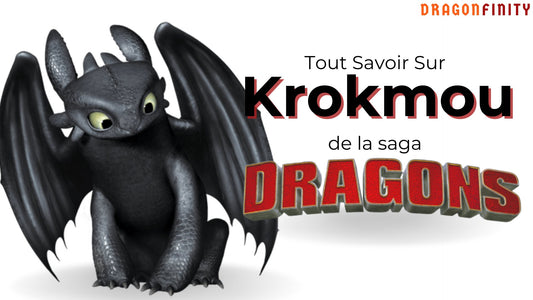 Tout Savoir Sur Krokmou de la saga "Dragons" - DragonFinity