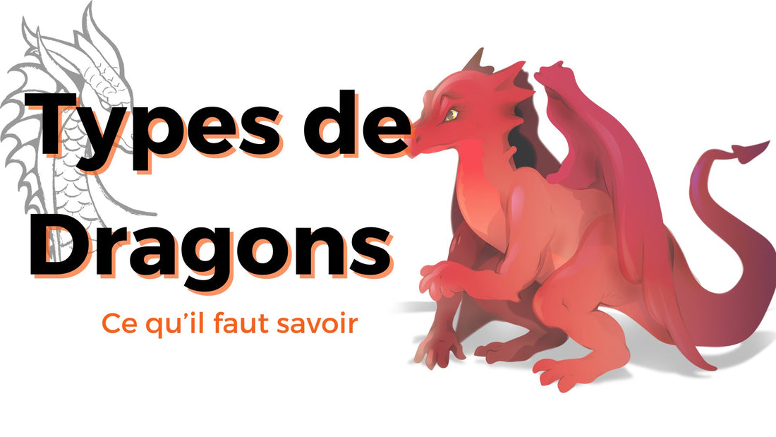 Types de Dragons : Ce qu'il faut savoir - DragonFinity